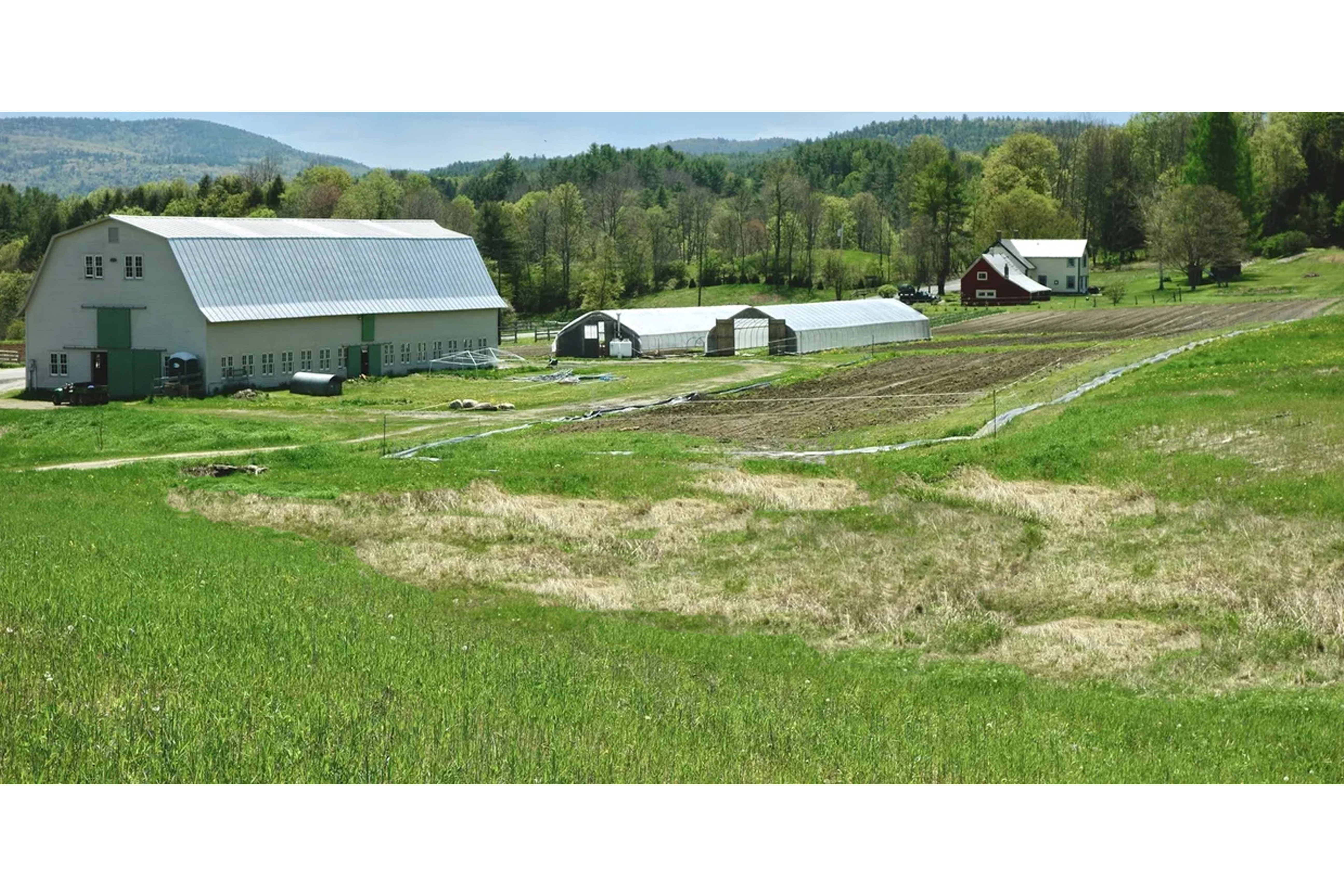 irrigation-1.jpg