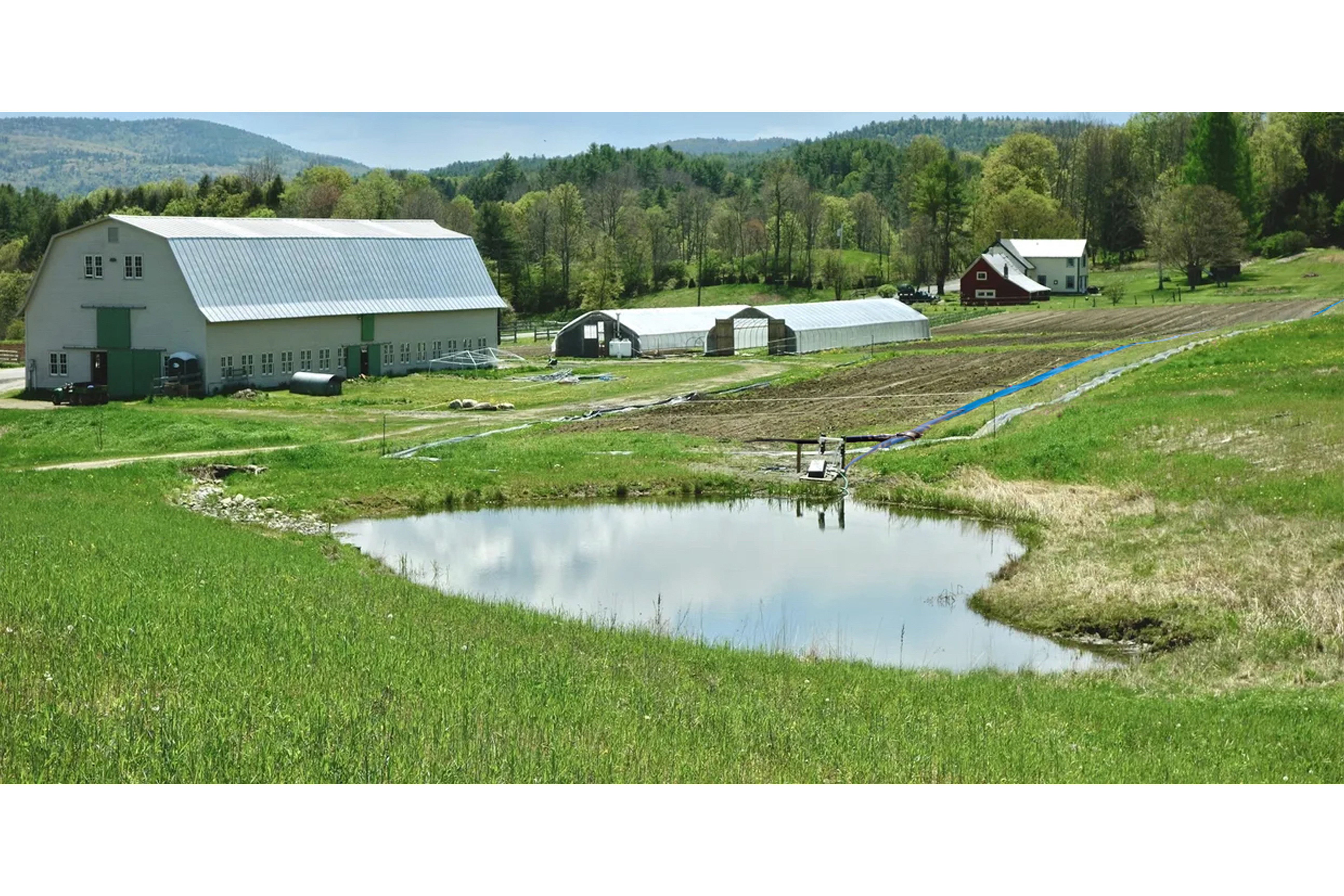 irrigation-2.jpg